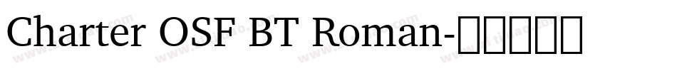 Charter OSF BT Roman字体转换